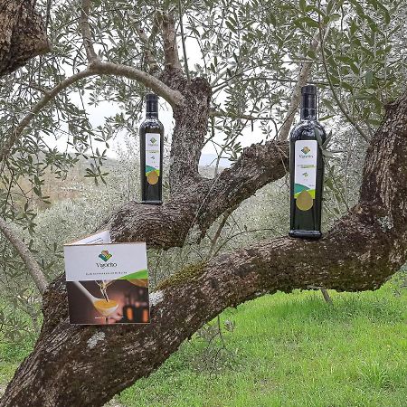 Agriturismo Cuorelieto Del Cilento Corleto Monforte المظهر الخارجي الصورة