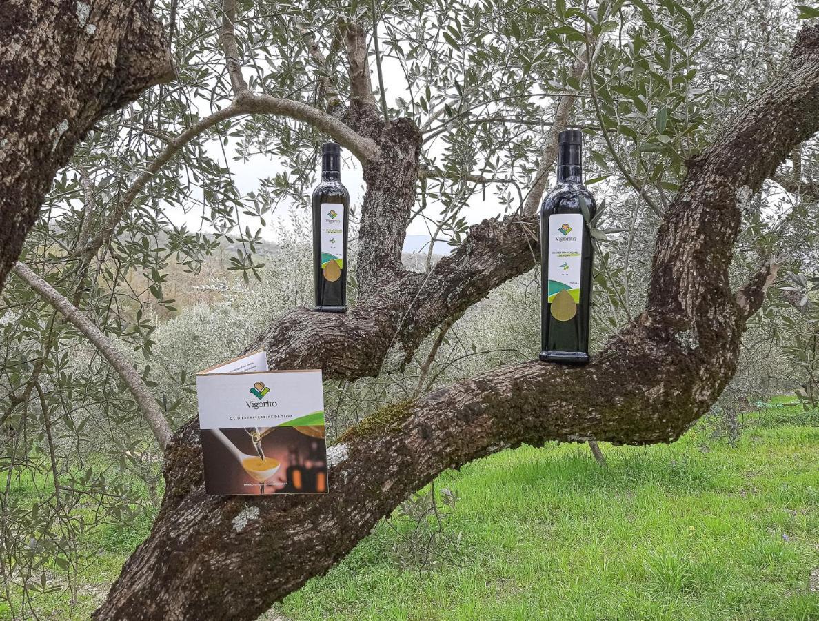 Agriturismo Cuorelieto Del Cilento Corleto Monforte المظهر الخارجي الصورة